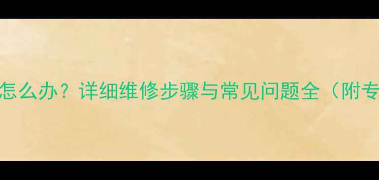自行车飞轮没锁紧怎么办详细维修步骤与常见问题全附专业工具使用指南