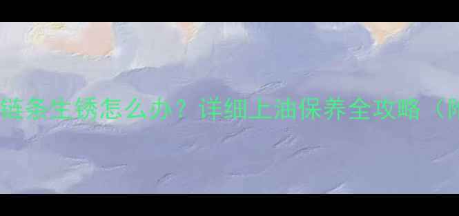 自行车骑久了链条生锈怎么办详细上油保养全攻略附步骤图解