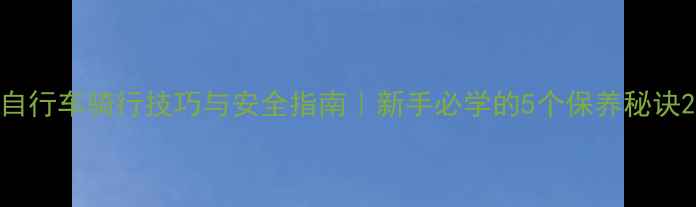 自行车骑行技巧与安全指南新手必学的5个保养秘诀