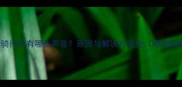 自行车骑行时有哪些声音原因与解决方法全附选购指南