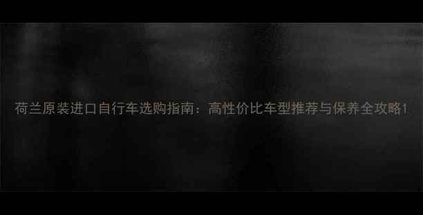 荷兰原装进口自行车选购指南高性价比车型推荐与保养全攻略
