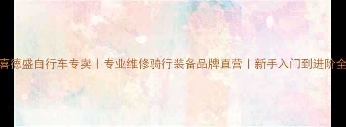衡水喜德盛自行车专卖专业维修骑行装备品牌直营新手入门到进阶全攻略