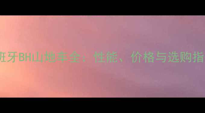 西班牙BH山地车全性能价格与选购指南