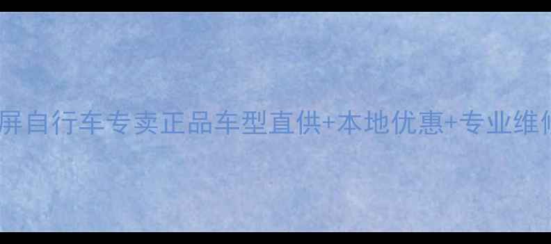 贵州玉屏自行车专卖正品车型直供本地优惠专业维修服务