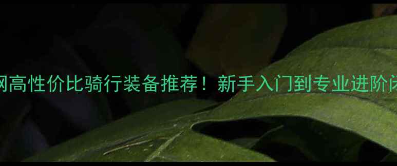 达奔自行车官网全网高性价比骑行装备推荐新手入门到专业进阶闭眼入指南