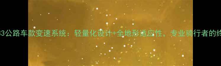 迪赛特33公路车款变速系统轻量化设计全地形适应性专业骑行者的终极选择