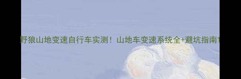 野狼山地变速自行车实测山地车变速系统全避坑指南