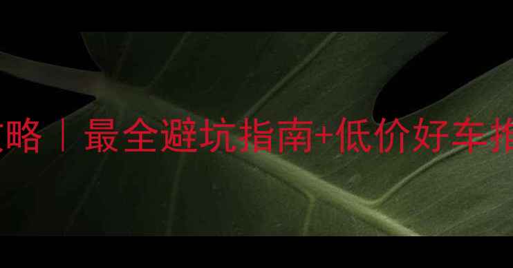 长沙二手自行车交易全攻略最全避坑指南低价好车推荐附免费发布渠道