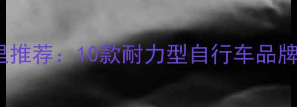 长途骑行3500公里推荐10款耐力型自行车品牌及车型深度测评