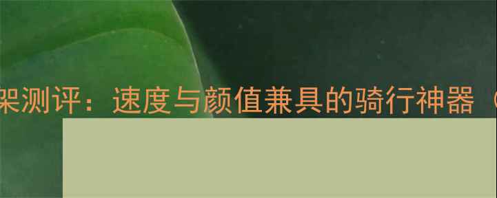 闪电X1公路车架测评速度与颜值兼具的骑行神器附选购指南