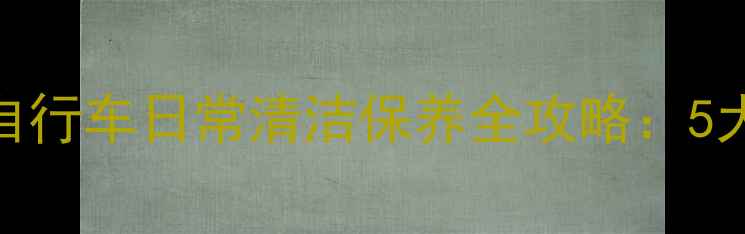 骑行爱好者必看自行车日常清洁保养全攻略5大步骤延长使用寿命