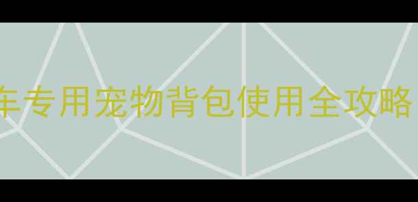 骑行遛狗神器自行车专用宠物背包使用全攻略附选购避坑指南