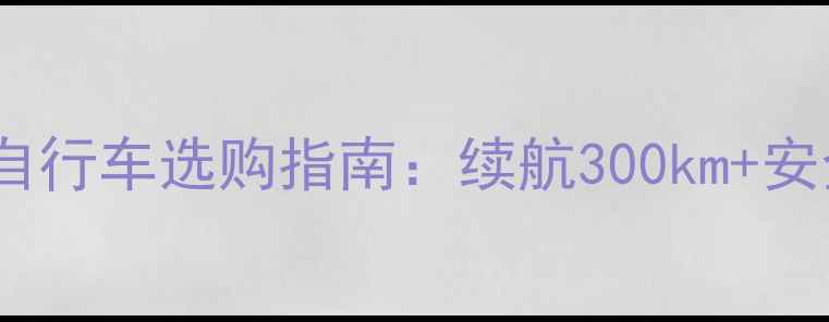 高性价比电动自行车选购指南续航300km安全认证车型全