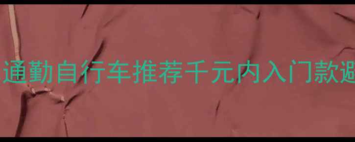 高性价比通勤自行车推荐千元内入门款避坑指南
