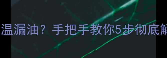山地车刹车油高温漏油手把手教你5步彻底解决附避坑指南