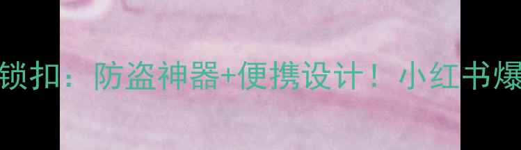 山地自行车隐藏锁扣防盗神器便携设计小红书爆款配件实测分享