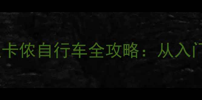 法国百年骑行传奇迪卡侬自行车全攻略从入门到专业的高性价比之选