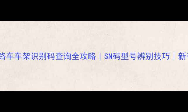 闪电公路车车架识别码查询全攻略SN码型号辨别技巧新手必看