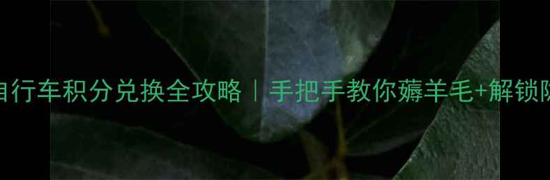 大行自行车积分兑换全攻略手把手教你薅羊毛解锁隐藏福利