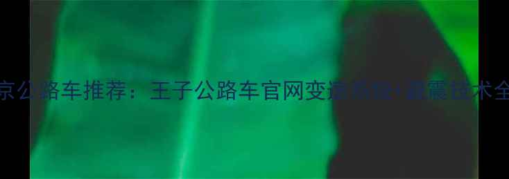 北京公路车推荐王子公路车官网变速系统避震技术全测评