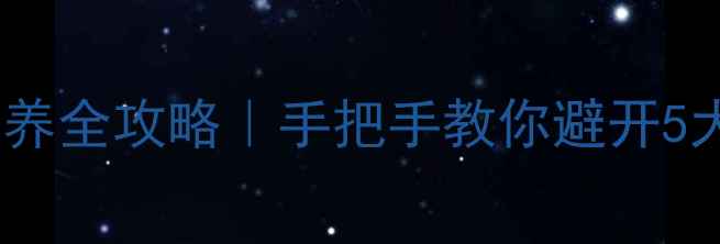 山地车导轮保养全攻略手把手教你避开5大坑