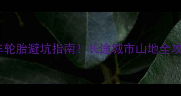 旅行自行车轮胎避坑指南长途城市山地全攻略