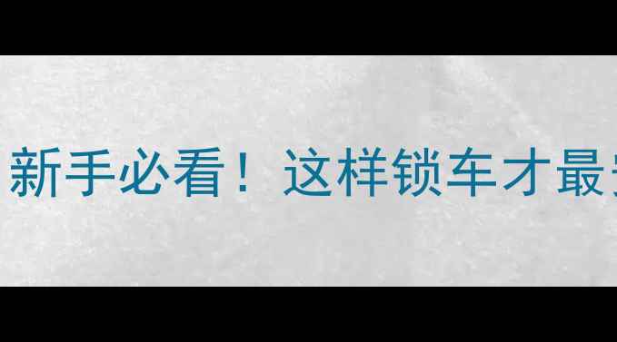 锁车防贼三件套新手必看这样锁车才最安全附工具推荐