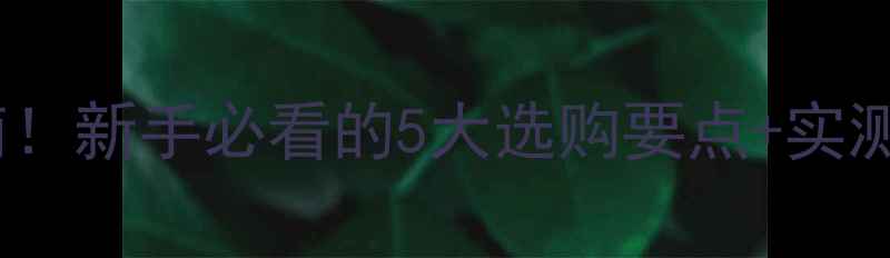 公路车轮组避坑指南新手必看的5大选购要点实测对比附预算清单