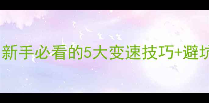 凤凰变速器全攻略新手必看的5大变速技巧避坑指南附实测数据