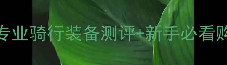台湾云豹自行车官网推荐专业骑行装备测评新手必看购买指南附真实用户反馈