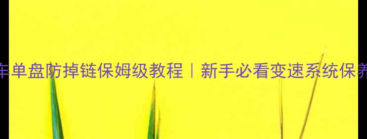 山地车单盘防掉链保姆级教程新手必看变速系统保养秘籍
