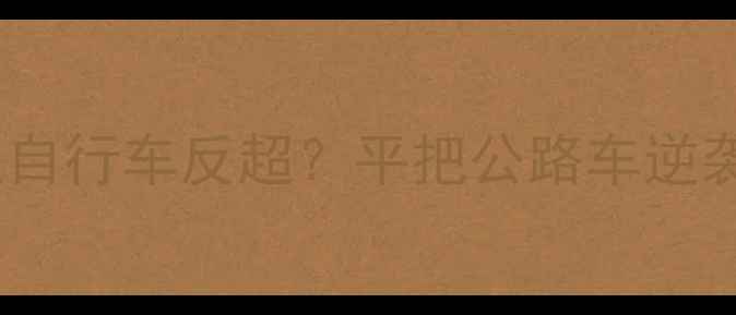 山地车竟被普通自行车反超平把公路车逆袭山地车全攻略
