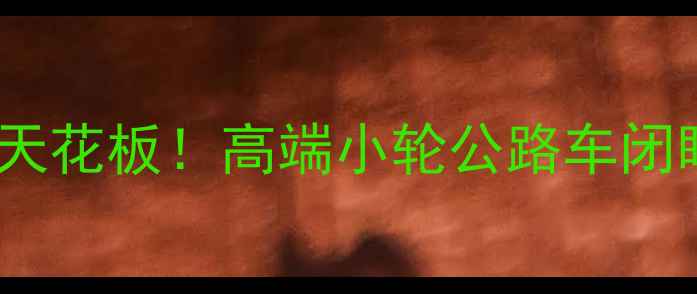 度公路车天花板高端小轮公路车闭眼入指南