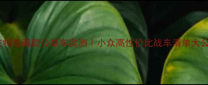 捷安特隐藏款公路车实测小众高性价比战车清单大公开