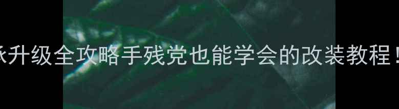 普通自行车后轮轴承升级全攻略手残党也能学会的改装教程省下200元维修费
