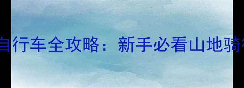 泉林亚洲DH山地自行车全攻略新手必看山地骑行进阶指南