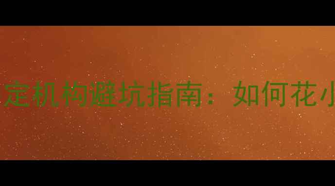 碳纤维自行车鉴定机构避坑指南如何花小钱买对高端车