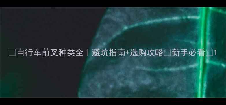 自行车前叉种类全避坑指南选购攻略新手必看