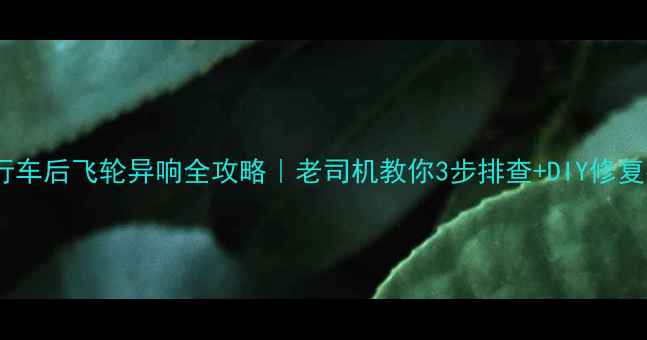 自行车后飞轮异响全攻略老司机教你3步排查DIY修复指南