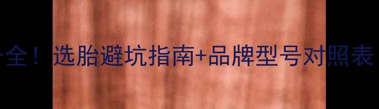 自行车胎型号全选胎避坑指南品牌型号对照表附高清图