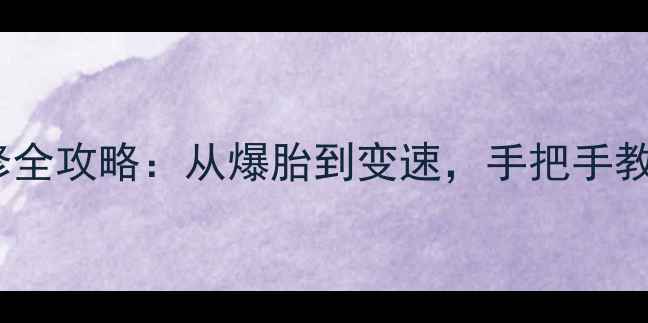 新北区自行车维修全攻略从爆胎到变速手把手教你省钱不踩坑