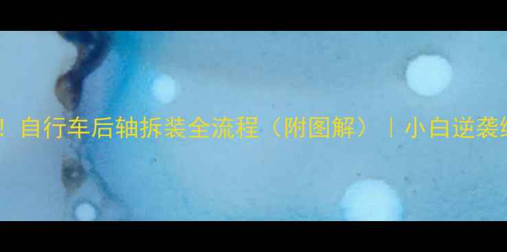 新手必看自行车后轴拆装全流程附图解小白逆袭维修技巧
