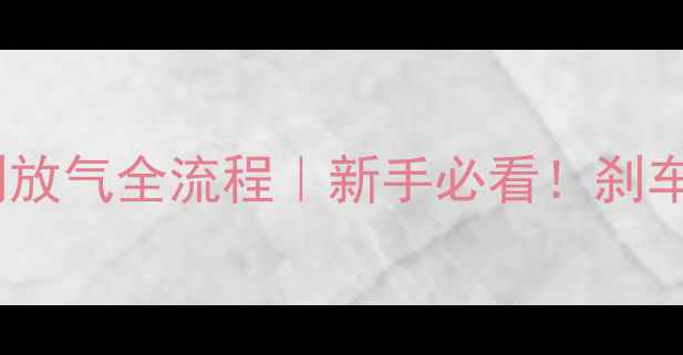 自行车油压碟刹放气全流程新手必看刹车失灵自救指南