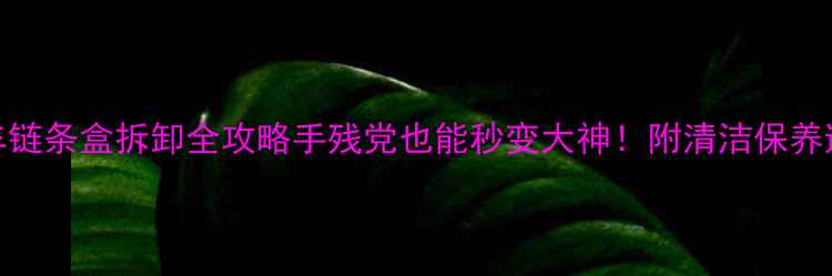 自行车链条盒拆卸全攻略手残党也能秒变大神附清洁保养避坑指南