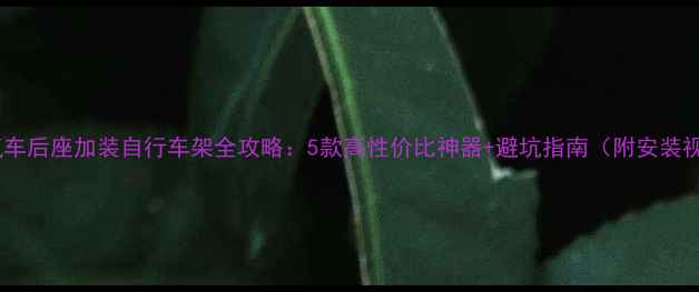 汽车后座加装自行车架全攻略5款高性价比神器避坑指南附安装视频