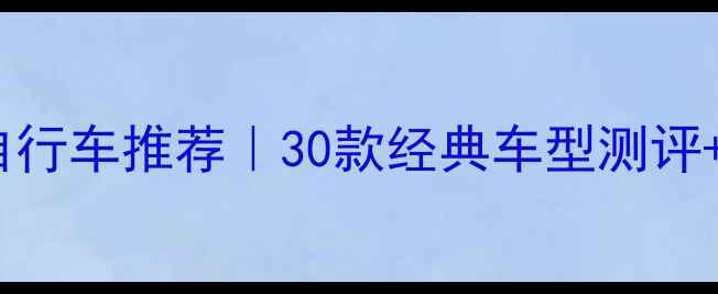 上海永久自行车推荐30款经典车型测评选购指南