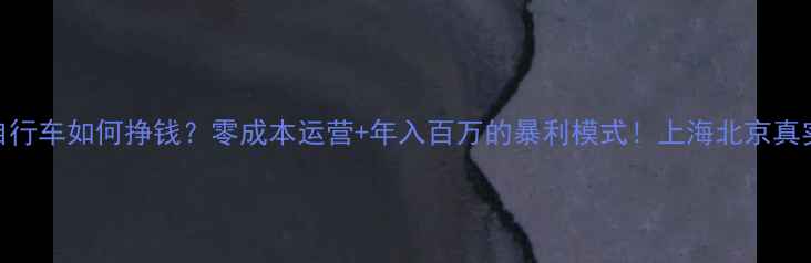 公共自行车如何挣钱零成本运营年入百万的暴利模式上海北京真实案例