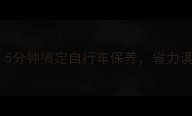 新手必看5分钟搞定自行车保养省力调整全攻略
