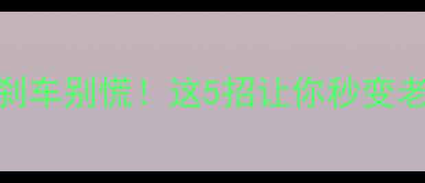 紧急刹车别慌这5招让你秒变老司机