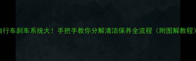 自行车刹车系统大手把手教你分解清洁保养全流程附图解教程